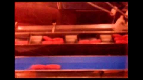 Single Sausage Robot Tray  Loading Conveyor System
