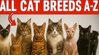 Discover Cat Breeds from A to Z: Find Your Perfect Feline Match!