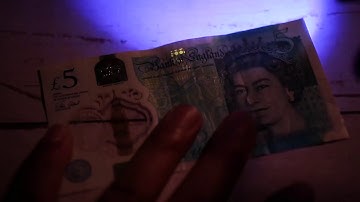 HUNT23 | Flashlight & Pry Bar in One