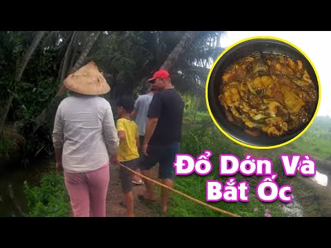 Video Rủ Nhau Đi Đổ Dớn Được Mớ Rổ Cá Đem Về Kho Khô Được... - youtube