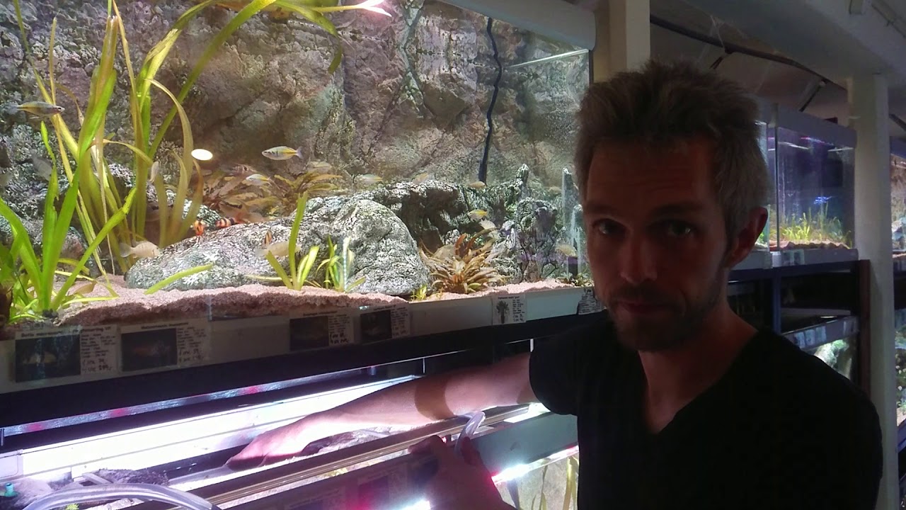 Spuling af baggrundsfilter