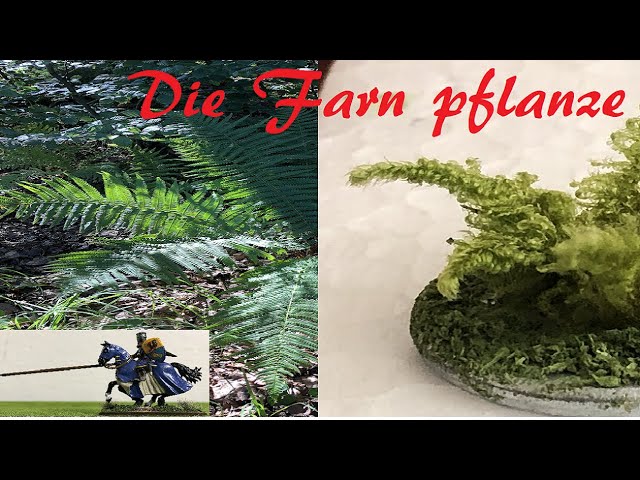 Eine Farn pflanze einfach und schnell selber herstellen