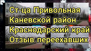 Станица Привольная Каневской район Краснодарский край отзыв переехавших