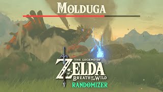 BOSSES CAN NOW SPAWN EVERYHWERE (BOTW RANDOMIZER)