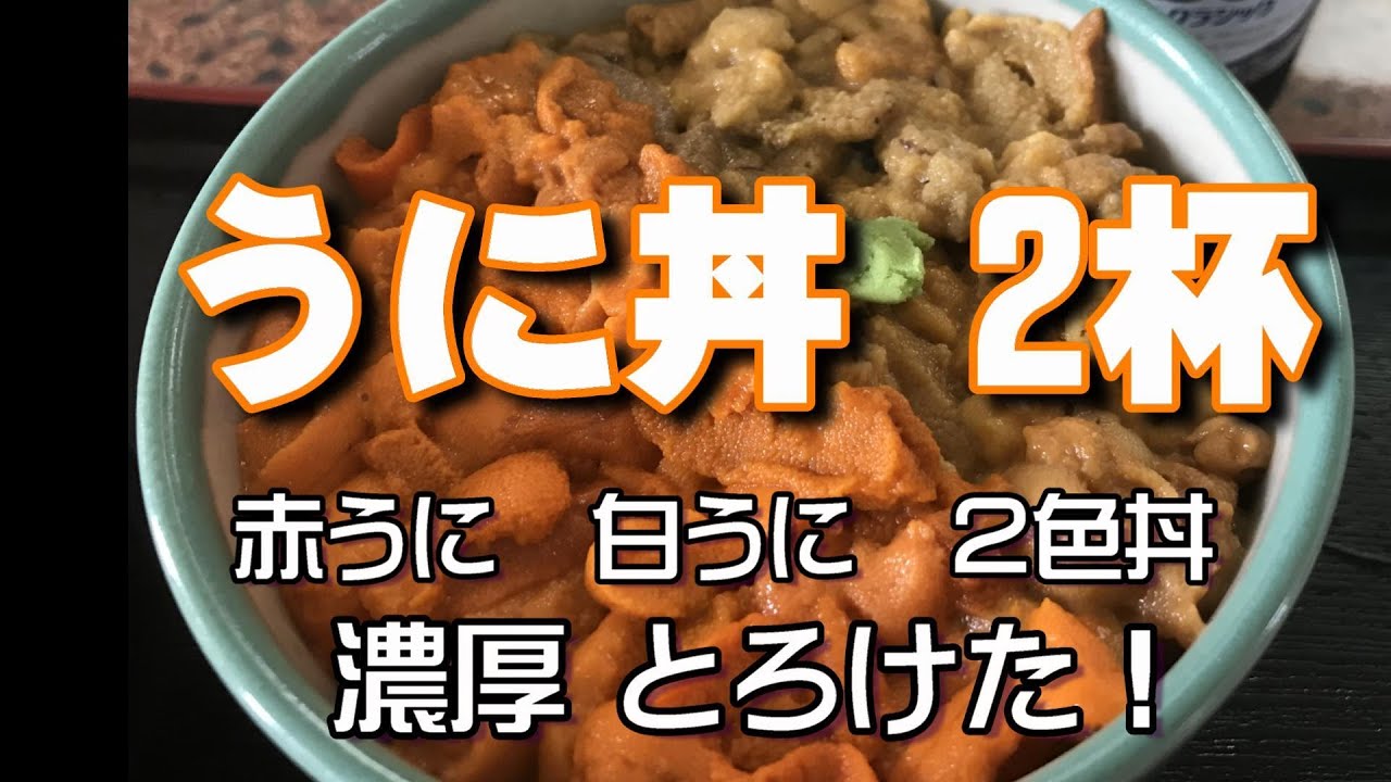 新鮮濃厚とろける うに丼 1日2杯 網元ならではの赤ウニ白ウニ 2食丼 積丹岬のうに丼大盛 うますぎる Youtube