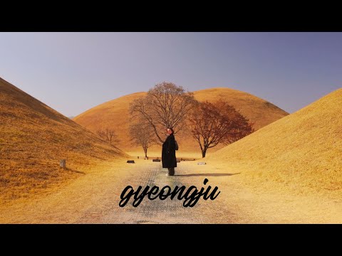 trend na samotność w Korei?