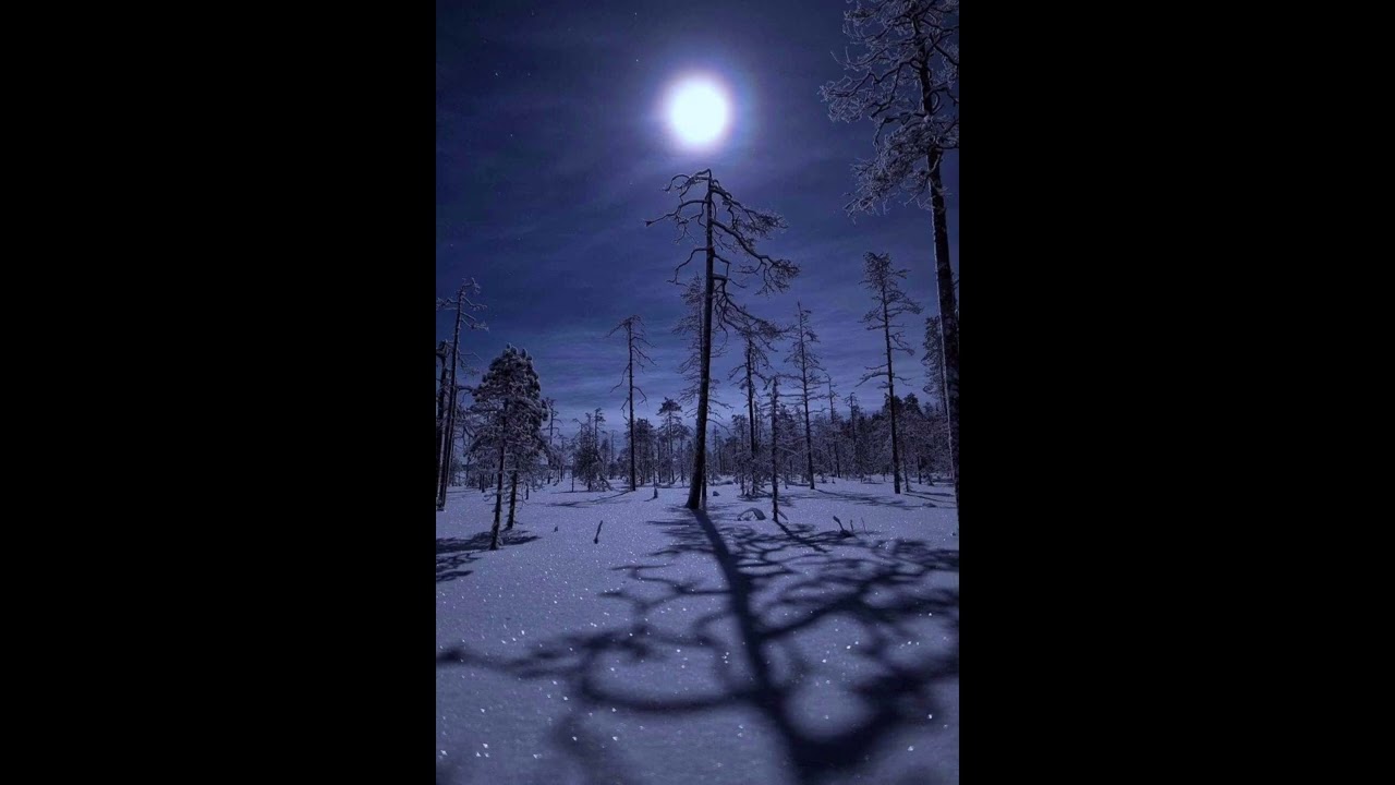 new jazz x lunchbox x 800pts x amir.pr0d type beat