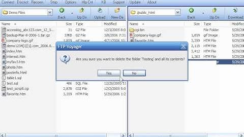 Managing files/folders in FTP Voyager - FTP Tutorials