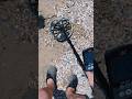 Buried Treasure ?! #bestmetaldetector #metaldetecting