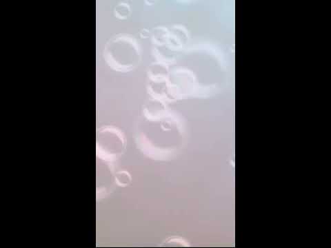 ع الزراعيه يارب أقابل حبيبى