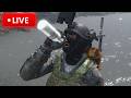 SURVIVING IN CHERNARUS - DayZ 1440p Livestream