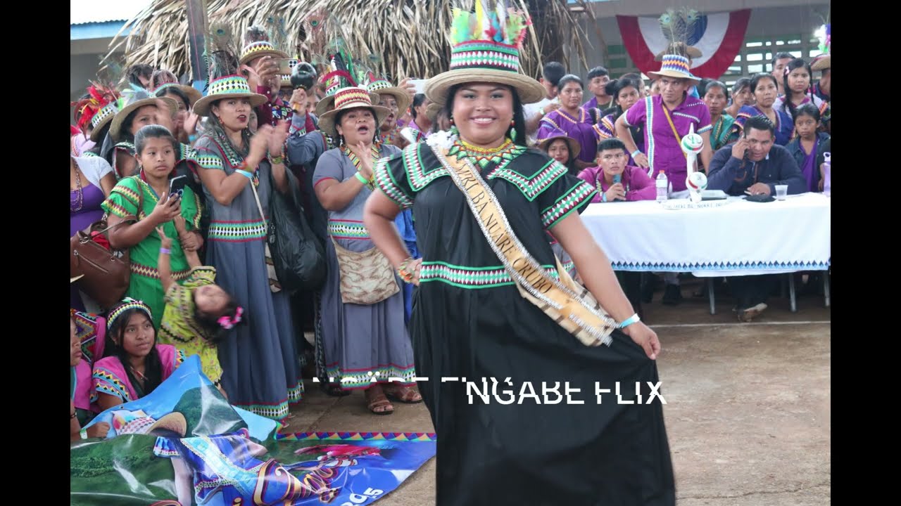 Acces Kätäräteri E-6