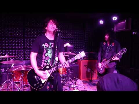The Dragons /