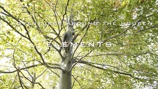 Adventures Around the House (Elements with Mike DeCavalcante)