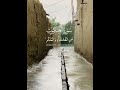 سورت العنکبوت قوران 