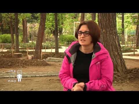 ქორწინება ადრეულ ასაკში. კომუნიკატორი. 1 არხი. 14.04.2015