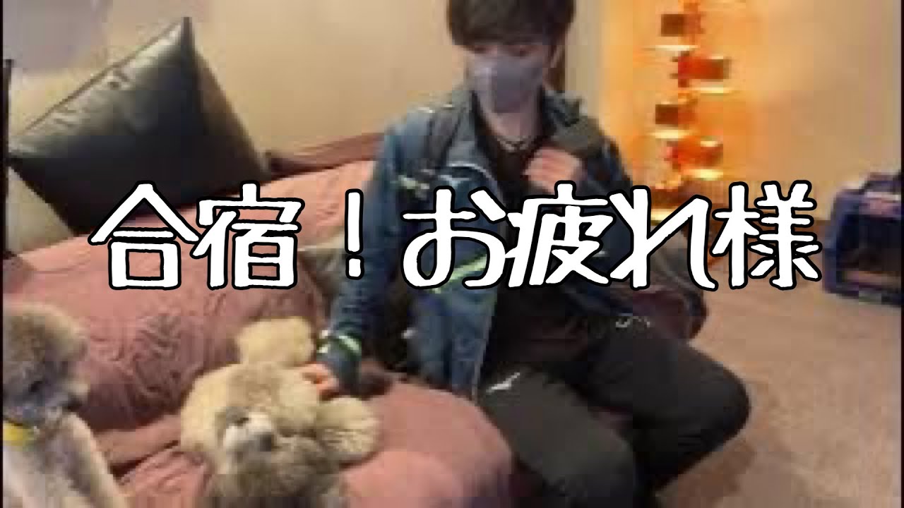 【おかえりなさい‼️】#uno1ワンチャンネル #宇野昌磨 #宇野樹 #トイプードル生活 #いぬとの暮らし #フィギュアスケート