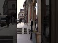 Patryk nadal zbiera pieniądze dla zwierzaków