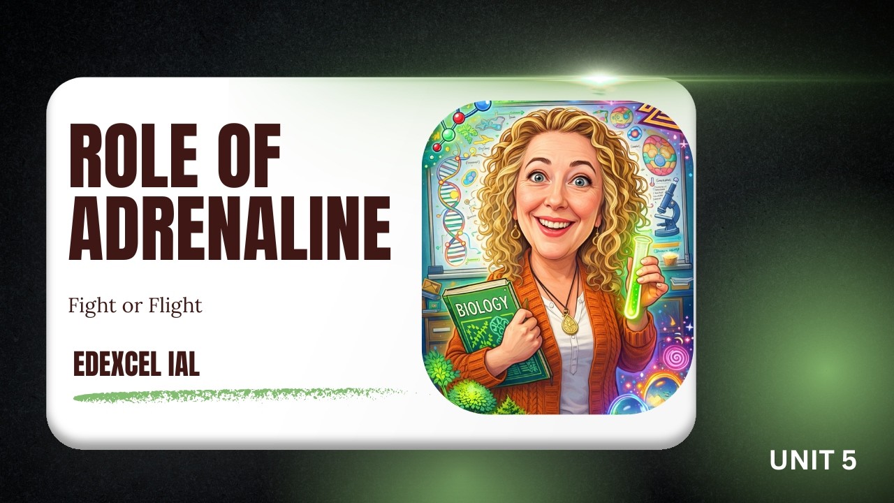 Edexcel IAL Biology: The Role of Adrenaline Explained (Unit 5)