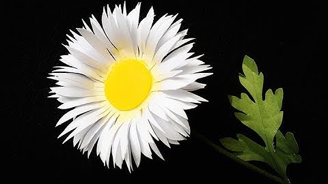 ABC TV | How To Make Daisy Paper Flower With Shape Punch #2 - Craft Tutorial