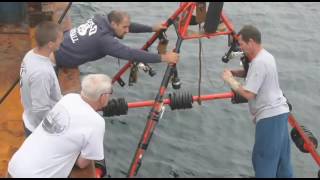 SMAST Scallop Research with Prof. Kevin Stokesbusy screenshot 1