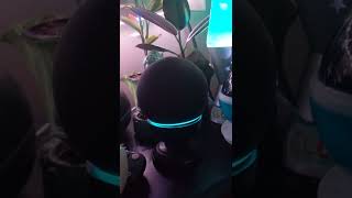 Alexa explains how to talk to dead relatives (sooo creepy)