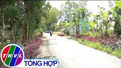 Toàn dân đoàn kết, chung sức xây dựng nông thôn mới, đô thị văn minh