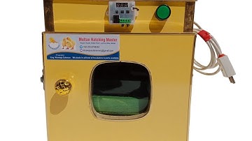 25 to 30 #Eggs #semi #automatic #incubator #best #quality