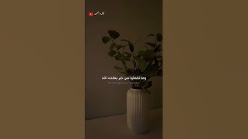 تلاوة خاشعة ومؤثرة القارى عبد الرحمن مسعد 🎧❤️‍🩹 #أرح_سمعك_وقلبك #اكسبلور #طمئن_قلبك #عبدالرحمن_مسعد