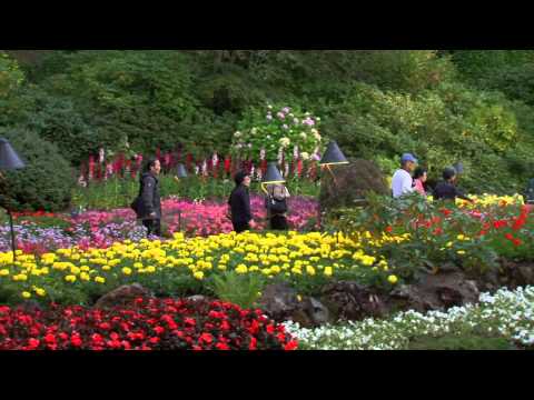 Butchart Gardens U0026 Victoria Highlights | Shore Excursion | NCL