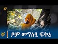 ሰላምን ይቅርታን እዩ ሊቀ ጠበብት ናትናኤል ገ ማርያም