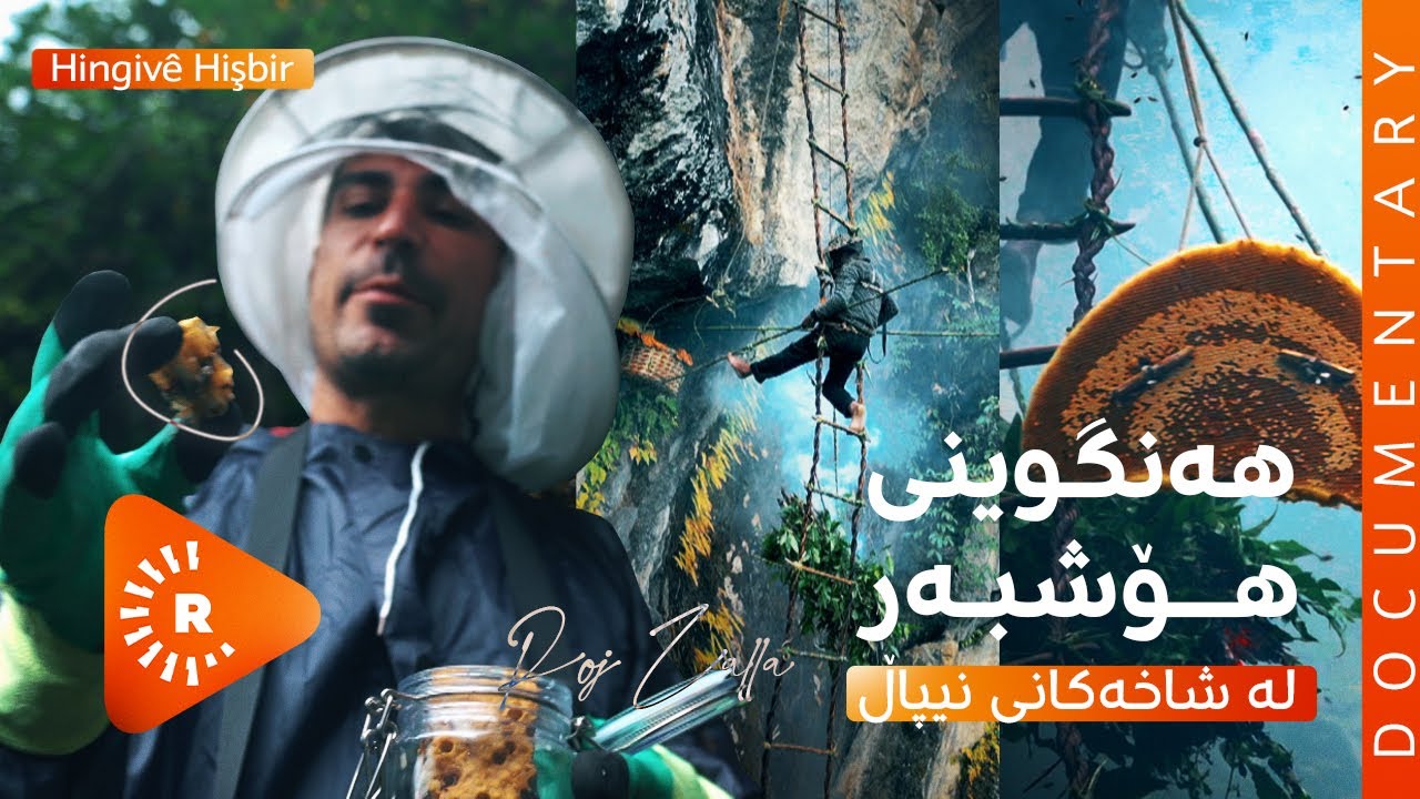 Documentary-BelgeFilm-Mad honey of Nepal-Hingivê Hişbir |بەڵگەفیلم-هەنگوینی هۆشبەر لە شاخەکانی نیپاڵ