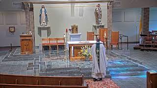 Daily Mass, Tuesday July 14, 2026