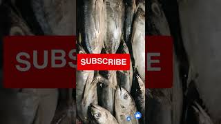 I Have Never Seen Amazing Live Carp Fish In Bangladesh Fish Market