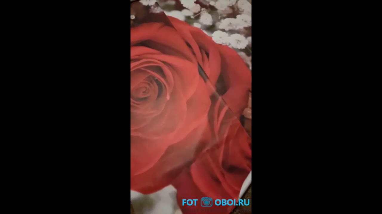Отзыв fot-oboi.ru