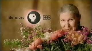 PBS | Bumper | 2006
