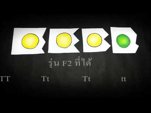 เธอหมุนรอบฉัน ฉันหมุนรอบเธอ/ เกศ ฝ้าย จ๋า Biology 1