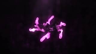 Magic Dimension Logo Intro