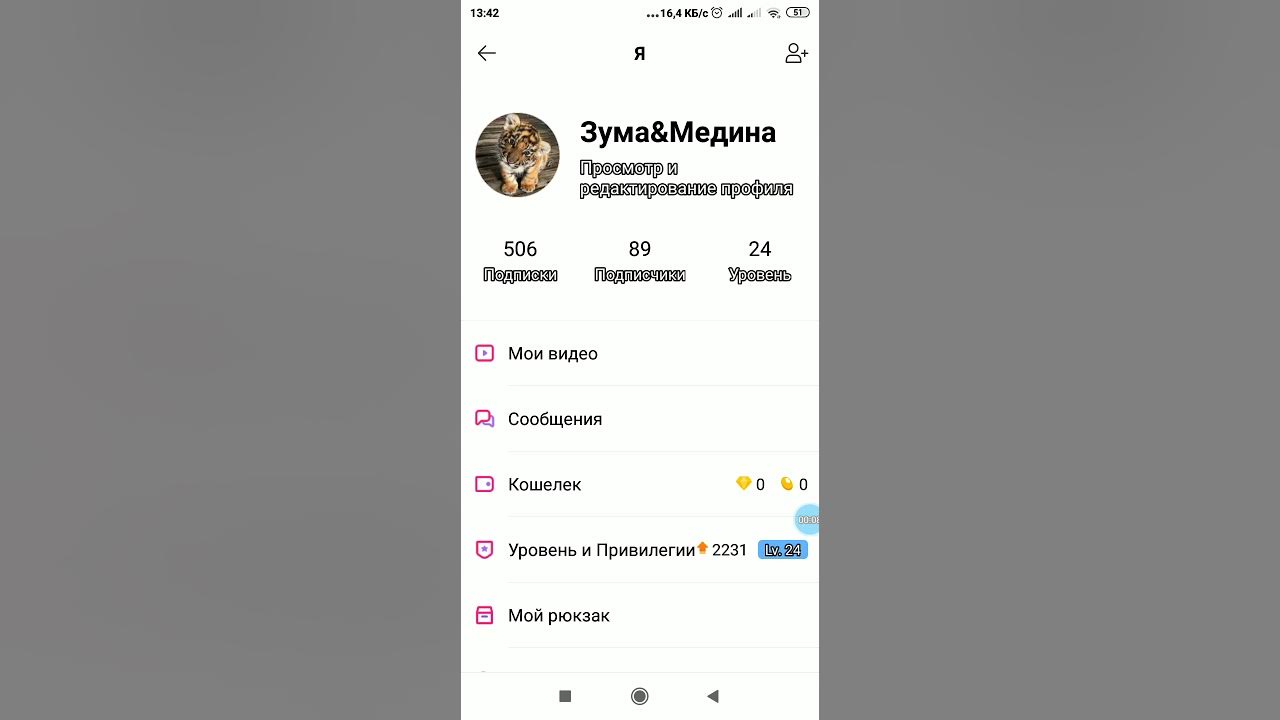 Номер лизы из лайка. Номера лайкеров из лайка. Номера популярных лайкеров. Настоящий номер мерлин. Номер лайки рав.