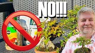 Don't Ruin Your Bonsai: The Dark Side of Fertilizing After Repotting