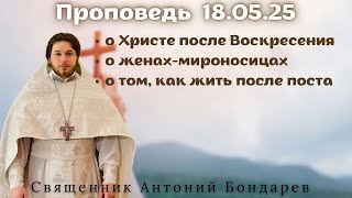 Проповедь о Христе после Воскресения, о женах-мироносицах | священник Антоний Бондарев | 18.05.24