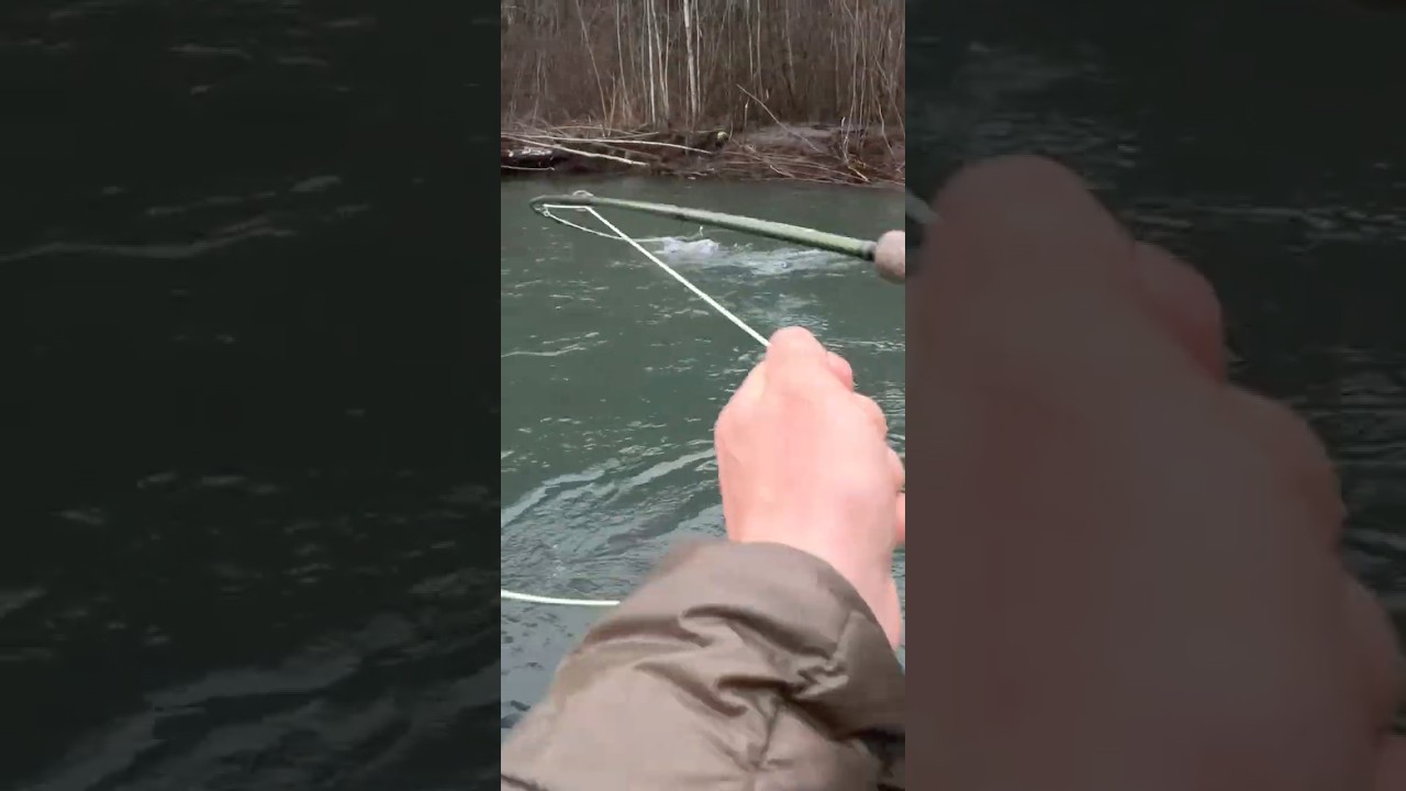 THE HARDEST FIGHTING FISH IN FRESHWATER!? #shorts #fishing #outdoors