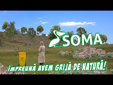 Video: Cum ai grijă de Soma?