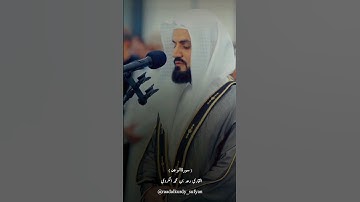 New|Raad Al kurdi Whatsapp status with Urdu English translation|رعد الكردي حالات واتس اب|سورة الرعد