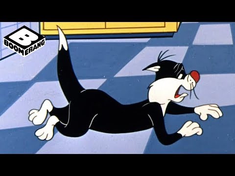 Sylvester's Diet | Looney Tunes Classic | Boomerang Official