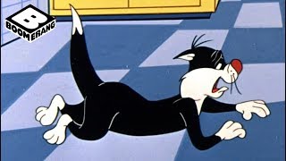 Sylvester's Diet | Looney Tunes Classic | Boomerang Official - YouTube