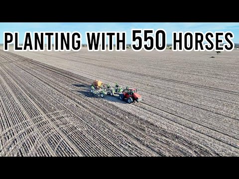 They Kicked Me off! | Planting 2024 Pt 2 | Vlog 274