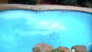 Crazy Pool Flips