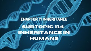 BIOLOGY FORM 5 KSSM : CHAPTER 11 INHERITANCE (SUBTOPIC 11.4)