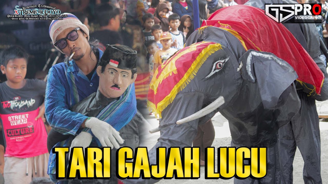 TARI GAJAH LUCU X-TREME BUDOYO LIVE GRINGSING